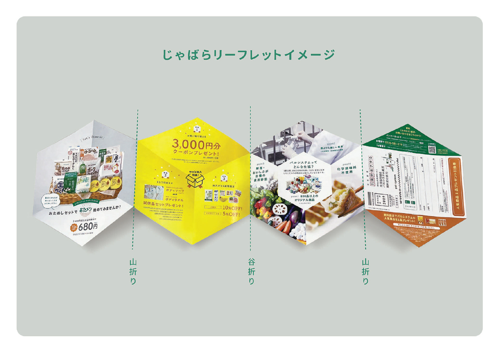 パルシステム じゃがらリーフレットイメージ